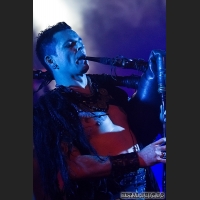 Corvus_Corax_10_IMG_9340.jpg