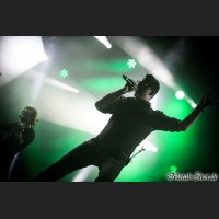 Fiddlers_Green_09_MS5_9010.jpg