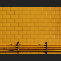 lali-masriera-yellow-bricks.jpg