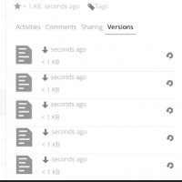 files_versioning.png