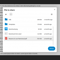 share-files-in-chat-selection.png
