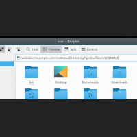webdav_dolphin.png