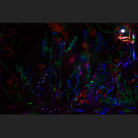 ab561b5eaa976b752f6b948c46f6a21b.jpg