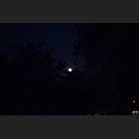 b1822487324e29a84e431beb4cb02a5f.jpg