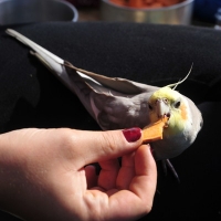 135c4d2bc0af8efb49dd87e591fce639@2x.jpeg
