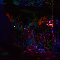 6a341308d8c8e8a466a38301098fcbab.jpeg