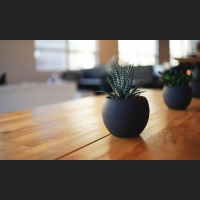 header.jpg